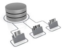 Barcode database